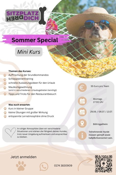 Sommer Kurs 3 Termine