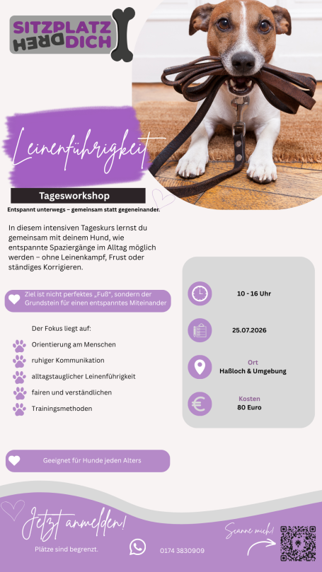Tagesworkshop Leinenführigkeit